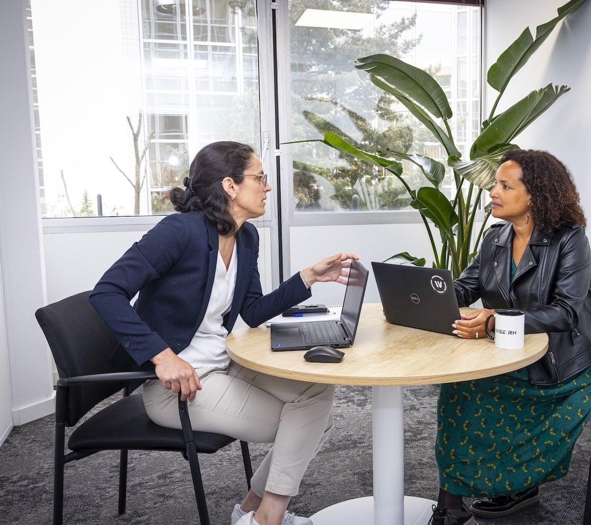 collaboratrices cabinet conseil toulouse